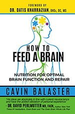 How To Feed A Brain